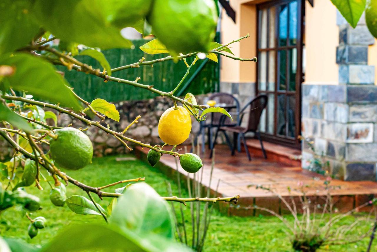 Casa Sabina Zona De Playa Y Montana Villa Llanes Exterior photo